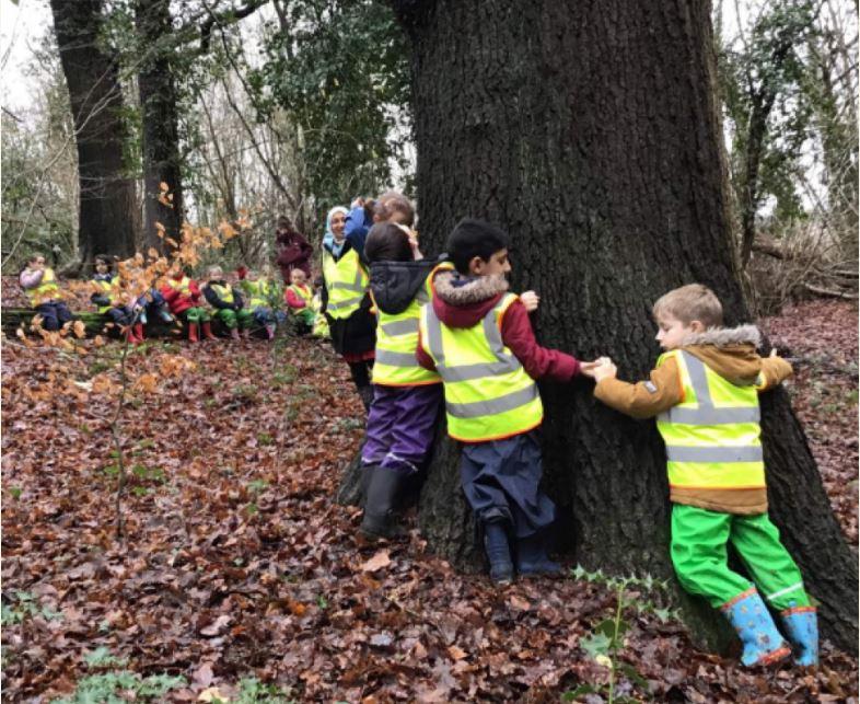 Black Friday Discounts? Plant a Tree Instead!