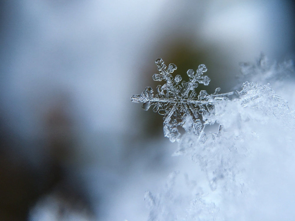 If there are enough snowflakes, we can create a powerful glacier...